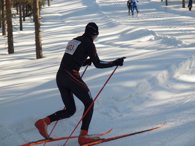 P3139457